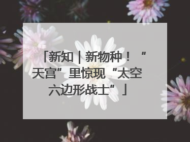新知｜新物种！“天宫”里惊现“太空六边形战士”