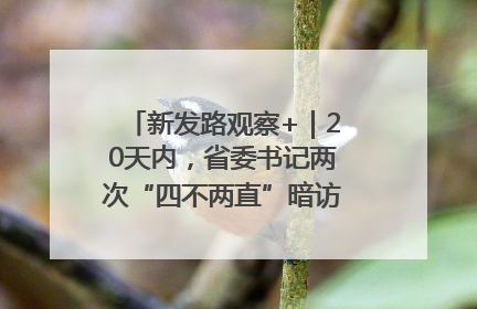 新发路观察+｜20天内，省委书记两次“四不两直”暗访，有何深意？
