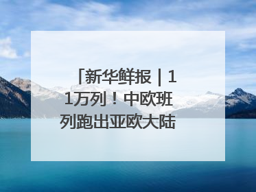 新华鲜报｜11万列！中欧班列跑出亚欧大陆“新时速”