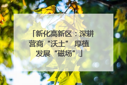 新化高新区：深耕营商“沃土” 厚植发展“磁场”