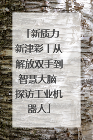 新质力 新津彩丨从解放双手到智慧大脑 探访工业机器人