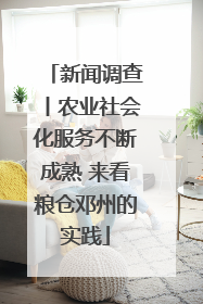 新闻调查丨农业社会化服务不断成熟 来看粮仓邓州的实践