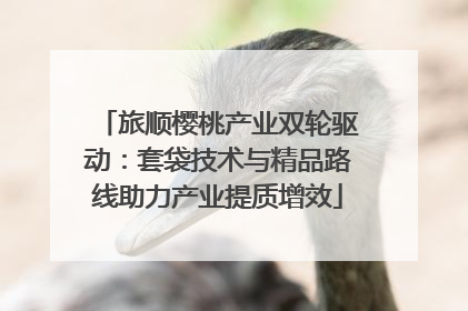 旅顺樱桃产业双轮驱动：套袋技术与精品路线助力产业提质增效