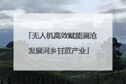 无人机高效赋能澜沧发展河乡甘蔗产业