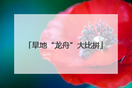 旱地“龙舟”大比拼