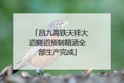 昌九高铁天祥大道隧道预制箱涵全部生产完成