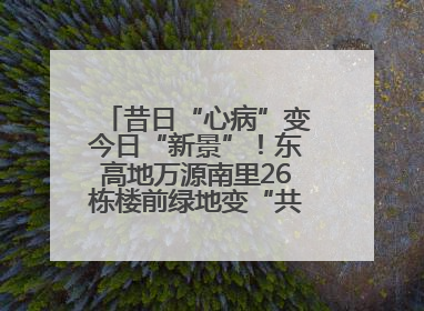 昔日“心病”变今日“新景”！东高地万源南里26栋楼前绿地变“共享花园”