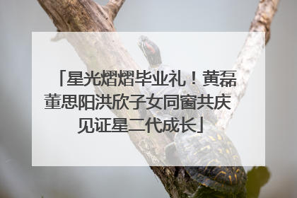 星光熠熠毕业礼！黄磊董思阳洪欣子女同窗共庆 见证星二代成长