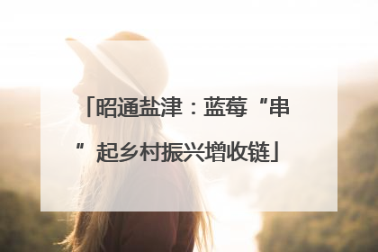 昭通盐津：蓝莓“串”起乡村振兴增收链