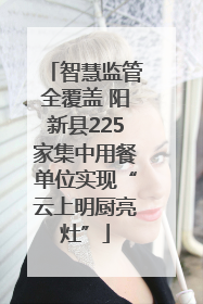 智慧监管全覆盖 阳新县225家集中用餐单位实现“云上明厨亮灶”
