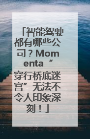 智能驾驶都有哪些公司？Momenta“穿行桥底迷宫”无法不令人印象深刻！