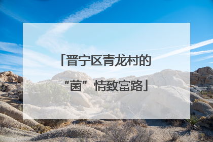 晋宁区青龙村的“菌”情致富路