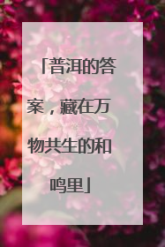 普洱的答案，藏在万物共生的和鸣里