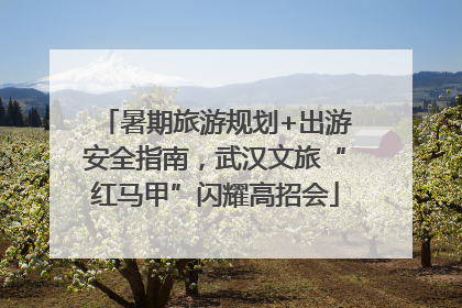 暑期旅游规划+出游安全指南，武汉文旅“红马甲”闪耀高招会