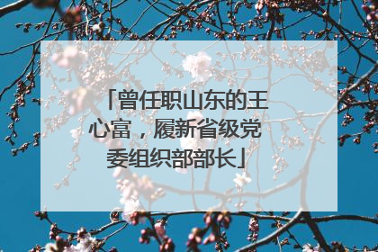 曾任职山东的王心富，履新省级党委组织部部长