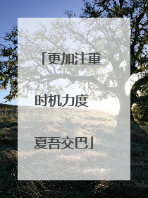 更加注重时机力度 夏吾交巴