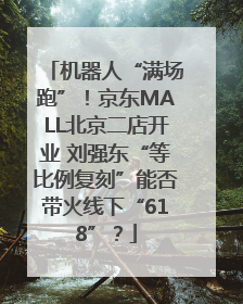 机器人“满场跑”！京东MALL北京二店开业 刘强东“等比例复刻”能否带火线下“618”？