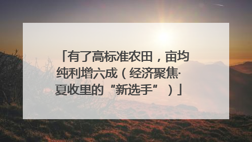 有了高标准农田，亩均纯利增六成（经济聚焦·夏收里的“新选手”）
