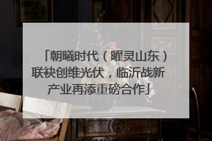 朝曦时代（曜灵山东）联袂创维光伏，临沂战新产业再添重磅合作