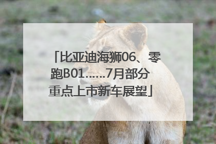 比亚迪海狮06、零跑B01……7月部分重点上市新车展望