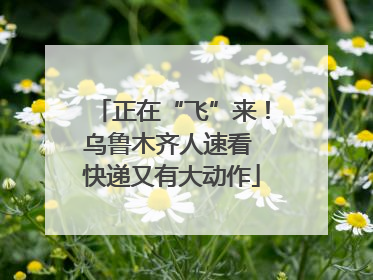 正在“飞”来！乌鲁木齐人速看 快递又有大动作