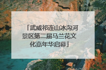 武威祁连山冰沟河景区第二届马兰花文化嘉年华启幕