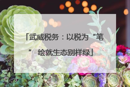 武威税务：以税为“笔” 绘就生态别样绿