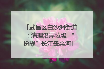 武昌区白沙洲街道：清理沿岸垃圾 “扮靓”长江母亲河