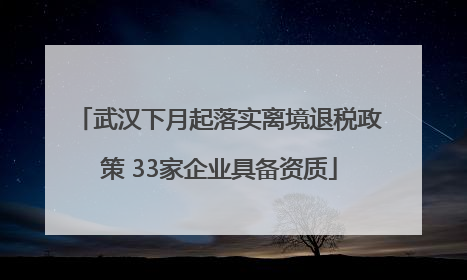 武汉下月起落实离境退税政策 33家企业具备资质