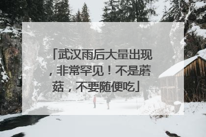 武汉雨后大量出现，非常罕见！不是蘑菇，不要随便吃