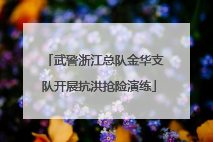 武警浙江总队金华支队开展抗洪抢险演练