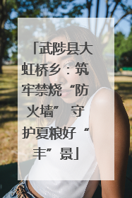 武陟县大虹桥乡：筑牢禁烧“防火墙” 守护夏粮好“丰”景
