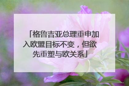 格鲁吉亚总理重申加入欧盟目标不变，但欲先重塑与欧关系