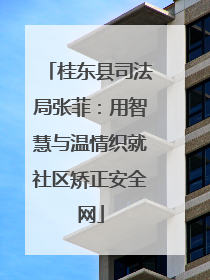 桂东县司法局张菲：用智慧与温情织就社区矫正安全网