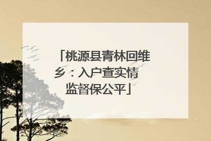 桃源县青林回维乡：入户查实情 监督保公平