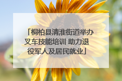 桐柏县清淮街道举办叉车技能培训 助力退役军人及居民就业