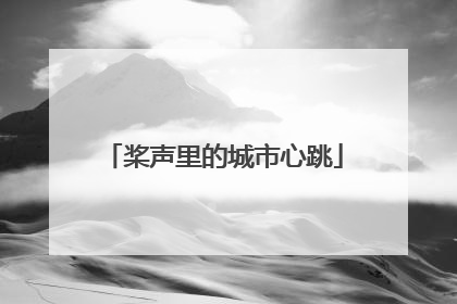 桨声里的城市心跳