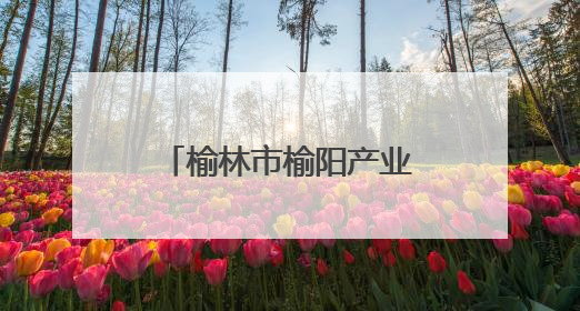 榆林市榆阳产业园区认定为省级经济技术开发区