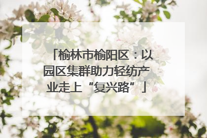 榆林市榆阳区：以园区集群助力轻纺产业走上“复兴路”