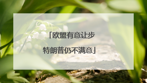 欧盟有意让步 特朗普仍不满意