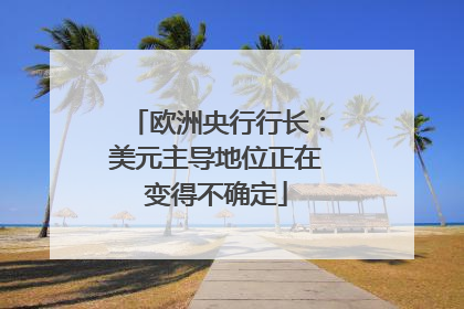 欧洲央行行长：美元主导地位正在变得不确定