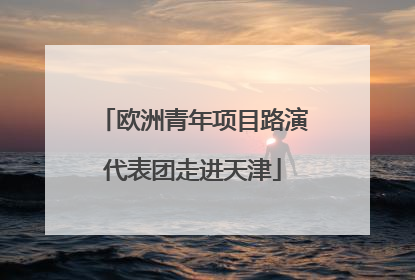 欧洲青年项目路演代表团走进天津