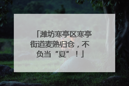 潍坊寒亭区寒亭街道麦熟归仓，不负当“夏”！
