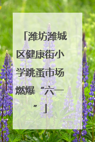 潍坊潍城区健康街小学跳蚤市场燃爆“六一”