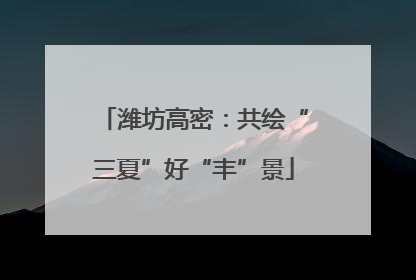 潍坊高密：共绘“三夏”好“丰”景