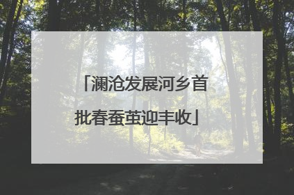 澜沧发展河乡首批春蚕茧迎丰收