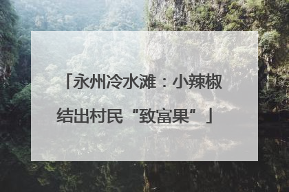 永州冷水滩：小辣椒结出村民“致富果”