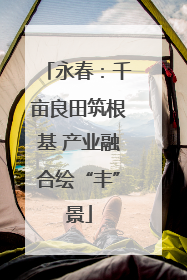 永春：千亩良田筑根基 产业融合绘“丰”景