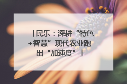 民乐：深耕“特色+智慧”现代农业跑出“加速度”