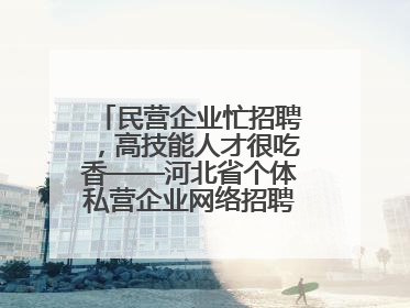民营企业忙招聘，高技能人才很吃香——河北省个体私营企业网络招聘大会扫描